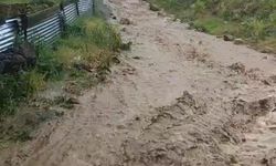 Göle’de sağanak sele yol açtı, evleri su bastı