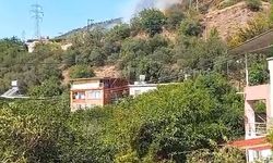 Hatay'da orman yangını