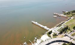 İzmit Körfezi’nde denizin rengi kahverengiye döndü/Ek fotoğraflar