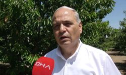 Kirazdaki rekolte kaybı vişnede de bekleniyor