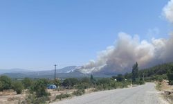 Manisa'da orman yangını (2)