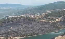 Manisa'daki orman yangını 2'nci gününde
