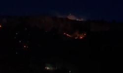 Mardin Kalesi eteklerinde 3 ayrı noktada örtü yangını (2)