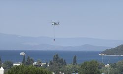 Muğla'da maki yangını (3)