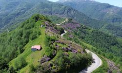 Öğretmenin dron merakı, yatağa bağımlı meslektaşının gözü oldu