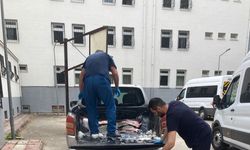 Samsun açıklarında kaçak olarak avlanan 6 ton kalkan balığı ele geçirildi