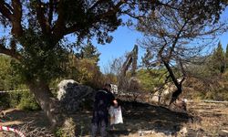 Semaver yakarken ormanı da yaktı; gözaltında