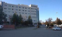 Siirt'te elektrik akımına kapılan çift öldü