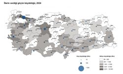 2024'te 2 milyon 682 bin kişi, iller arasında göç etti