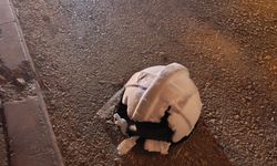 Adana’da otomobil ile motosiklet çarpıştı; 1 ölü, 1 yaralı