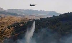 Adıyaman'da orman yangını 3 saatte kontrol altına alındı