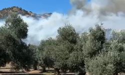 Aydın’da makilik ve zeytinlik alanda yangın (3)