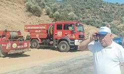Aydın'da makilik ve zeytinlik alanda yangın çıktı (2)