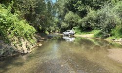 Bartın Irmağı'nda balık ölümleri