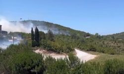 Bartın'da anız yangını ormana sıçradı