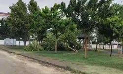 Batman’da kuvvetli rüzgar yurt çatısını uçurdu, ağaçlar araçların üzerine devrildi