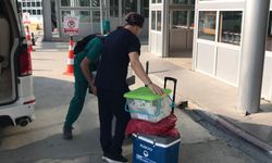 Beyin ölümü gerçekleşen hastanın organları umut oldu
