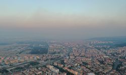 Bilecik’te orman yangını (2)