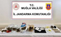 Bodrum'da uyuşturucu operasyonu; 2 tutuklama