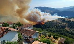 Bursa-Balıkesir sınırında orman yangını (2)