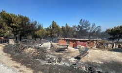 Çanakkale'de orman yangını (3)
