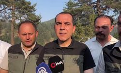 Çankırı'da orman yangını (2)