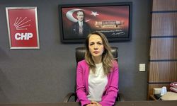 CHP İstanbul Milletvekili İlgezdi, Çanakkale'de kazası geçirdi: 1 yaralı