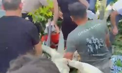 Çınar ağacının kırılan dalının altında kalan 3 kişi yaralandı