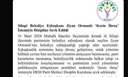 DEM Partili Silopi Belediye Başkanı Jiyan Ormanlı ‘kesin ihraç’ istemiyle disipline sevk edildi