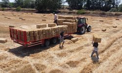Edirne'de hasadın tamamlandığı tarlalarda kavurucu sıcakta balya mesaisi