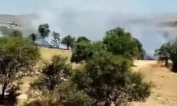 Elazığ’da örtü yangını
