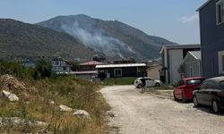 Hatay'da orman yangını