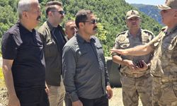 Hatay'daki orman yangını 2'nci gününde (3)