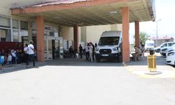 Hayvan otlatırken yorgun mermi isabet etti