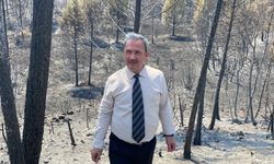 Karabük’te, bölgedeki ‘baca etkisi’ orman yangınının şiddetini artırdı