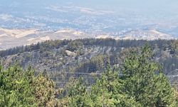 Karabük'teki orman yangınları kontrol altında (2)