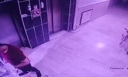 Kediyi yere fırlatan şüpheliye gözaltı