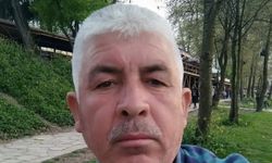 Kestiği ağacın altında kalıp öldü