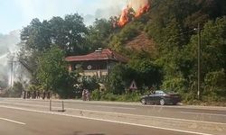 Kurumuş ağaç elektrik tellerinin üzerine devrildi, ormanda yangın çıktı / Ek fotoğraflar
