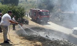 Manisa Turgutlu'da çıkan orman yangını, 2,5 saatte kontrol altına alındı