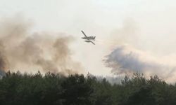 Manisa’da 2 noktada orman yangını; 2 gözaltı/ Ek fotoğraflar