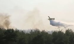 Manisa’da 2 noktada orman yangını; 2 gözaltı
