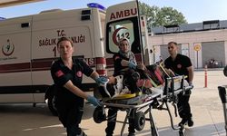 Mevsimlik işçi seyir halindeki kamyonetin kasasından düşüp, yaralandı