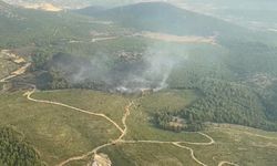 Muğla’da orman yangını (2)