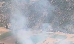 Muğla'da tarım arazisinde yangın