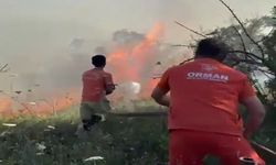 Sakarya’da ağaçlık alanda yangın