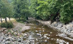 Sakarya'da Maden Deresi ve şelalesi kurudu