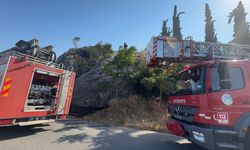 Sakarya'da market deposunda çıkan yangın, otluk ve ağaçlık alana sıçradı