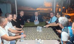 Tekirdağ'da orman yangını; alevler Çanakkale sınırına geçti (8)