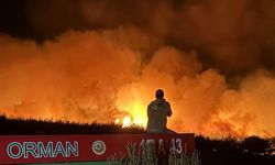 Tekirdağ'da orman yangını; alevler Çanakkale sınırına geçti/ Ek fotoğraflar
